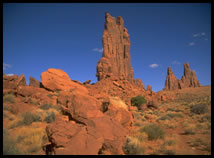 Desert / anial
