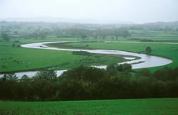 Flood alert condition, River Tywi, Llandeilo