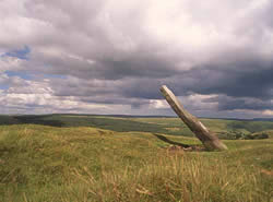 Gelligaer Common