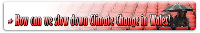 How can we slow down climate change in Wales?