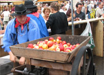 Fruit Drinks - Morzine - French alps