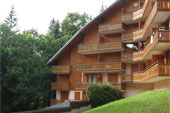 Apartments - Morzine - French alps