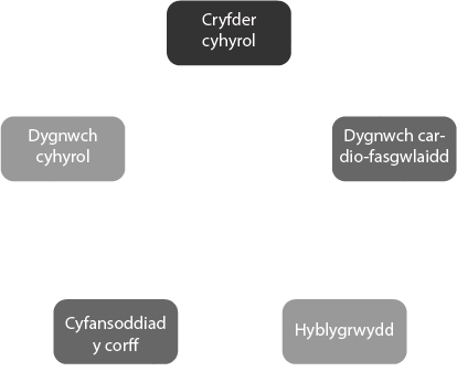 Components of fitness 1