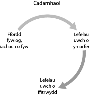 cyclical relationship between health, fitness and exercise - positive