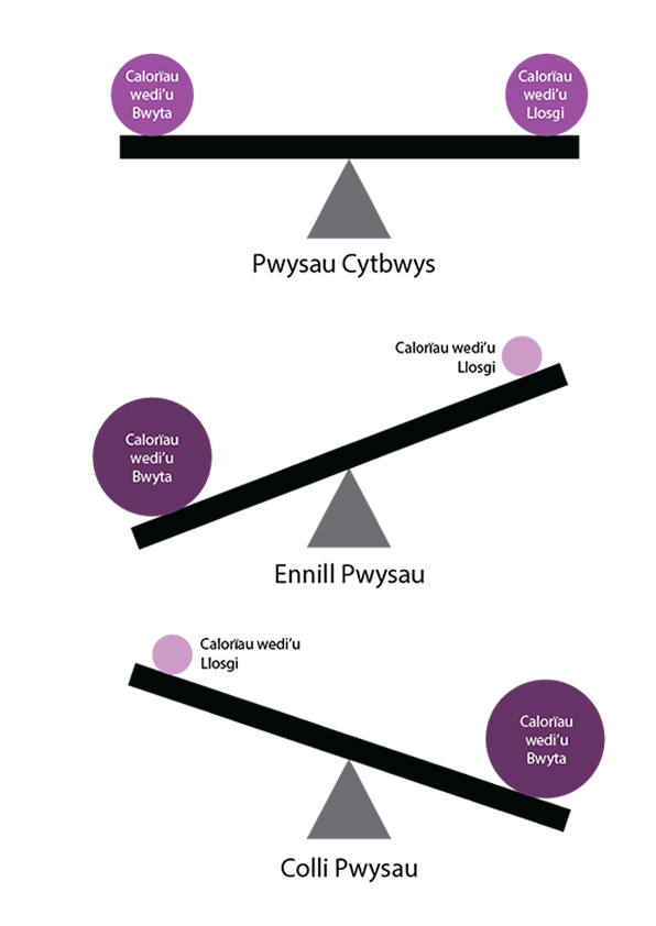 weight balanace diagram