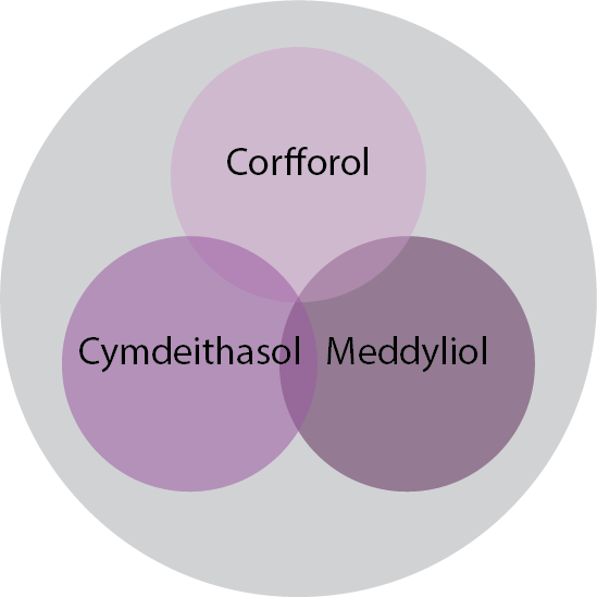 Physical, mental and social well-being - zen diagram