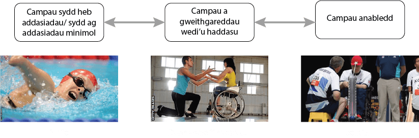Disaibilty sports