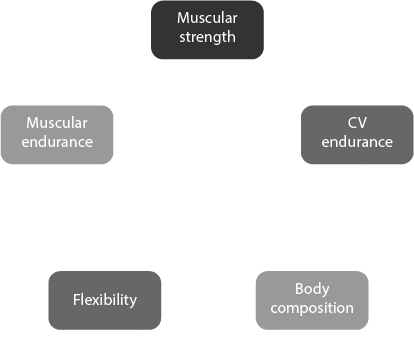 Components of fitness 1