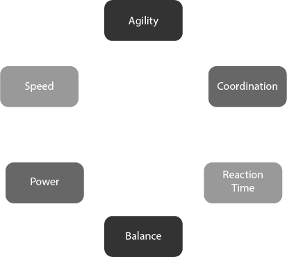 Components of fitness 2