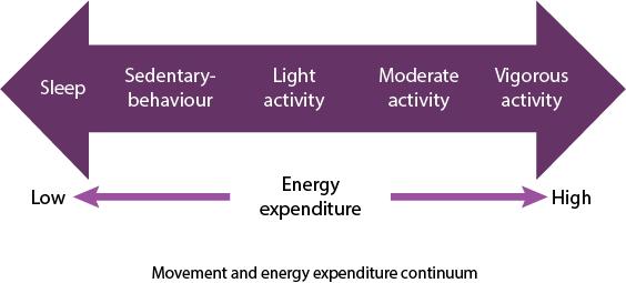 energy expenditure continuum