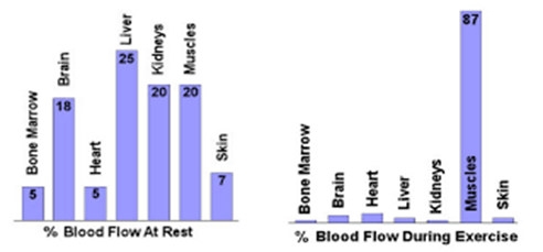% of maximum rate of energy production