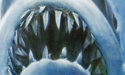 jaws