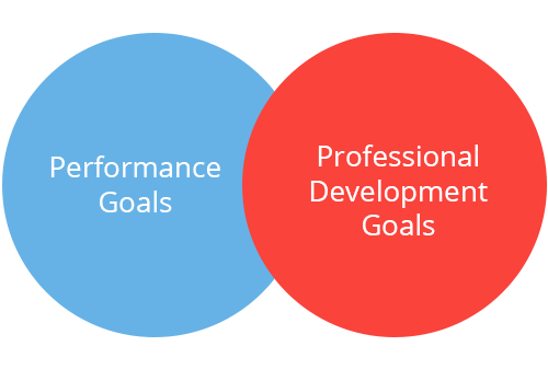 Performance and professional development goals
