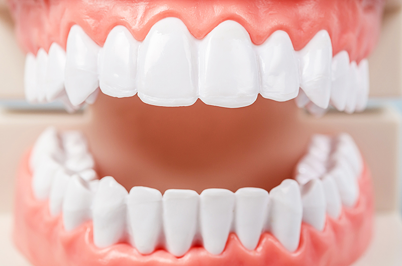 Tooth Dentistry